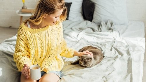 Почему женщина может любить кошку сильнее будущего ребенка
