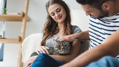 Почему кошки воспринимают хозяев как родителей