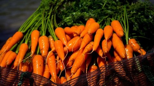 4 причины есть морковь каждый день