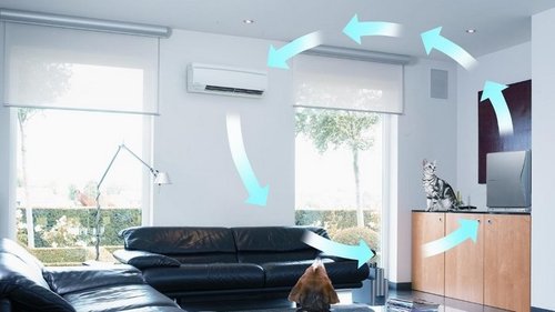 5 способов сделать воздух в доме безопасным и чистым