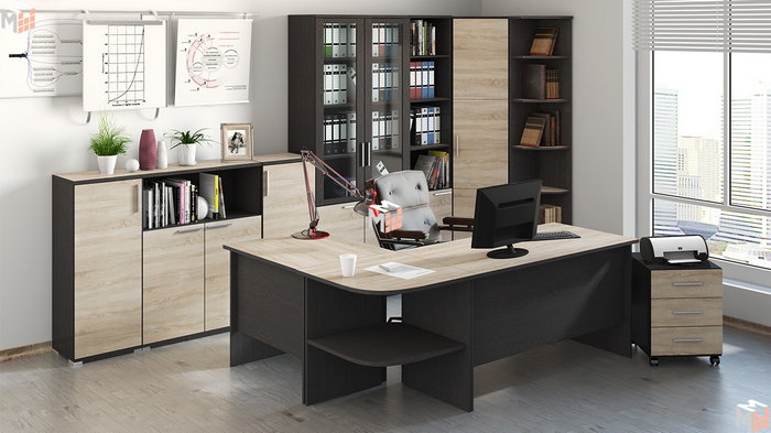Основной вид офисной мебели