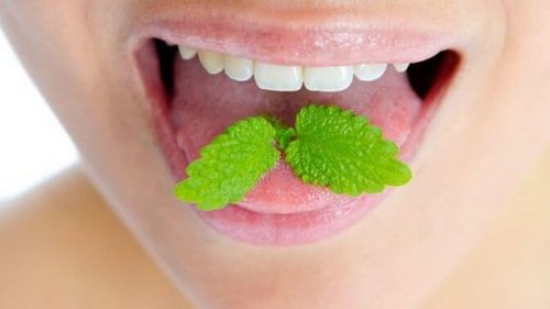 Как побороть неприятный запах изо рта? Советы врача из Индии