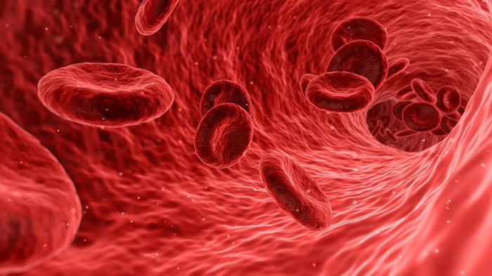 Как повысить уровень гемоглобина без дорогих лекарств