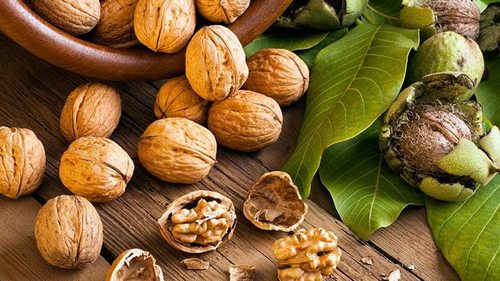 10 необычных фактов об орехах, которые надо знать