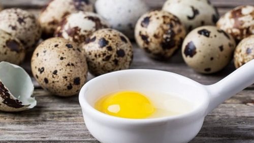 Перепелиные яйца: польза и вред