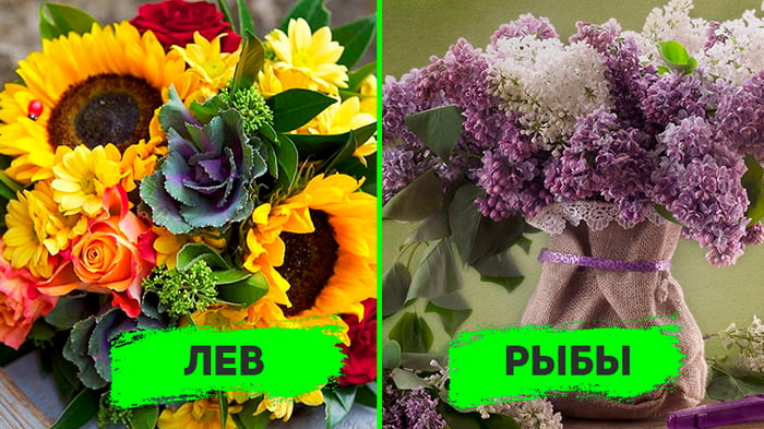 Цветочный гороскоп: узнай какой ты цветок по дате рождения