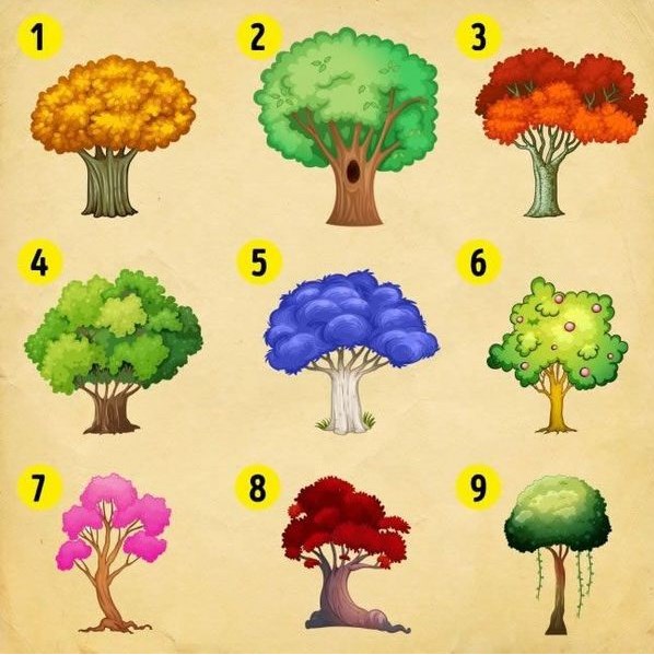 Тест. Выберите дерево, чтобы узнать, какие изменения вас ожидают