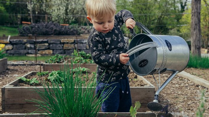 Садоводство вместе с ребенком: чем оно может быть полезным при воспитании
