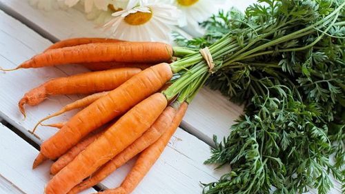 Морковь для похудения: все «за» и «против»