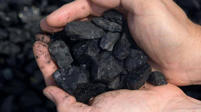 Применение угля в быту: 7 удивительных способов