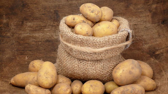 Как посадить картофель под зиму для суперраннего урожая