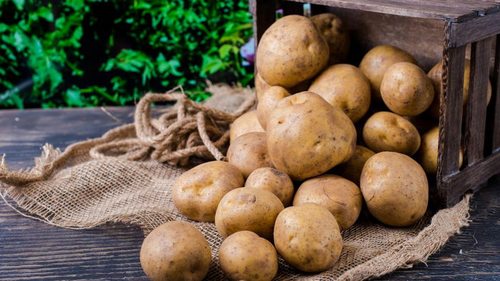 Как долго хранить картофель, чтобы он не пророс и не испортился: 6 способов