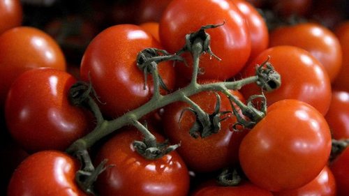 Как можно сохранить свежие помидоры на зиму: варианты заморозки