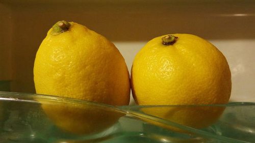 Вот что поможет сохранить лимоны свежими в течение нескольких месяцев