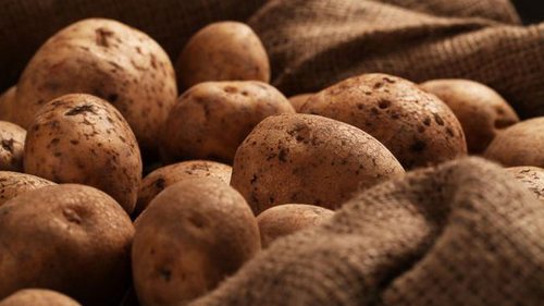 Храним картофель на балконе в морозы: как надежно защитить клубни