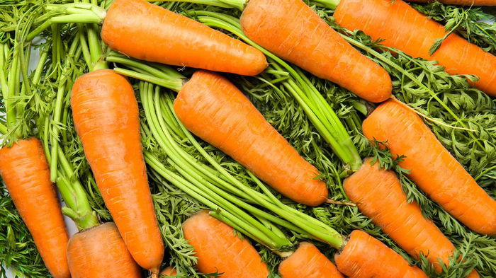 Названы 7 самых сладких сортов моркови: понравятся и детям, и взрослым