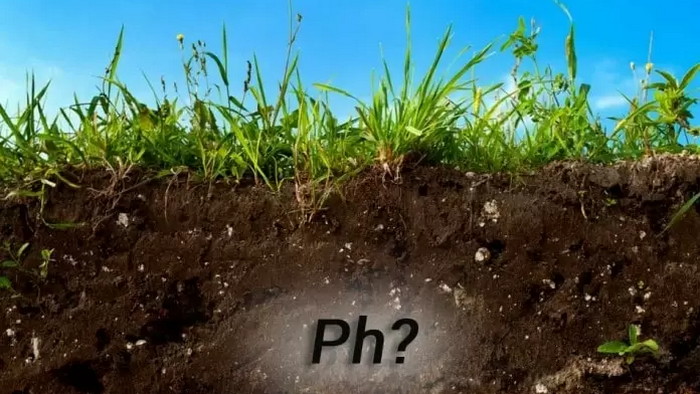 рH почвы (кислотный или щелочной): как его выбрать и измерить