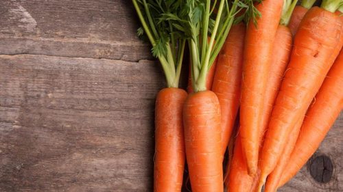Супер средство от морковной мухи: эффект за копейки