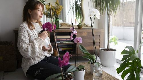 «Народный» способ спасения комнатных растений: добавьте всего 1 таблетку