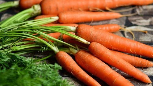 Будет как с картинки: чем подкормить морковь, чтобы выросла крупной и сладкой