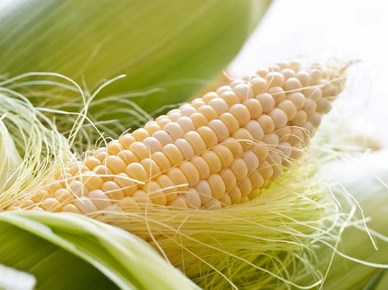 Чем полезны кукурузные рыльца и рецепты на их основе