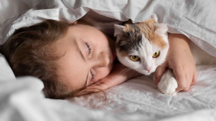 Вот почему спать с котом в одной кровати — это плохая идея