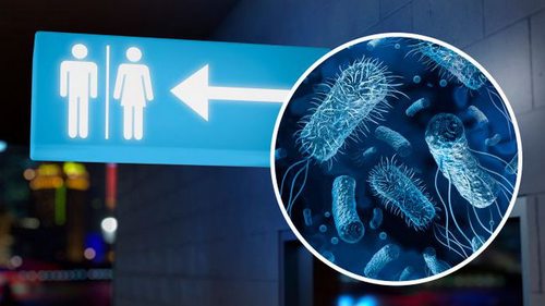 Вот какими болезнями можно заразиться в общественном туалете