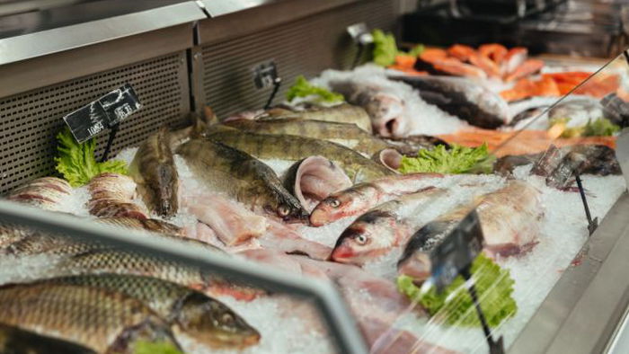 На что нужно обращать внимание при покупке живой рыбы, чтобы не отравиться