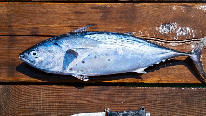 Как очистить рыбу от чешуи без ножа за одну минуту – эффективный лайфхак