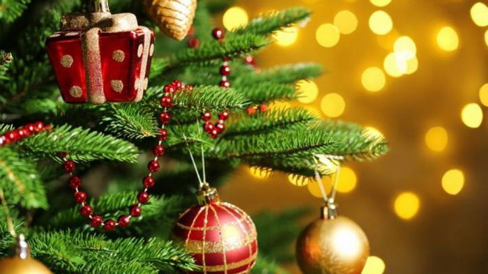 Живая елка будет долго стоять и не осыплется: как продлить жизнь новогодней красавице