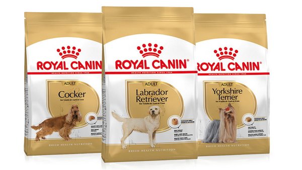 корм для собак Royal Canin