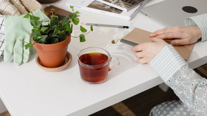 Можно ли использовать чай как удобрение: польза и особенности подкормки