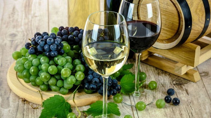 Какое вино полезнее для здоровья – белое или красное: вы будете удивлены