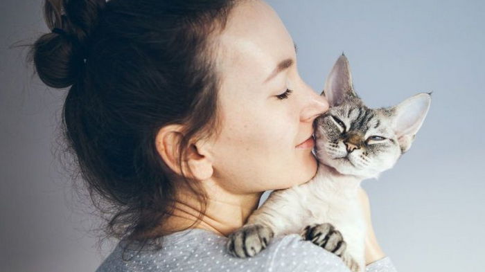 Нравится ли кошкам, когда их целуют, и как понять, что они против подобной ласки