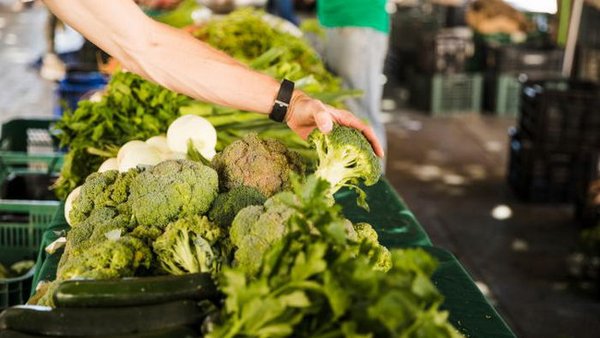 Диетолог поделился списком лучших продуктов для сохранения здоровья и молодости