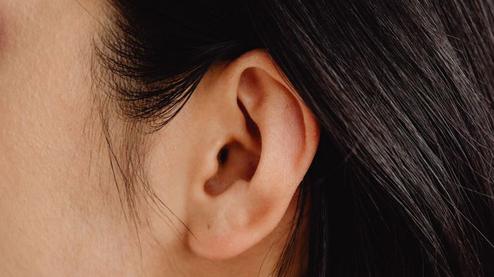 Как форма вашего уха может выявить скрытые черты характера: тест