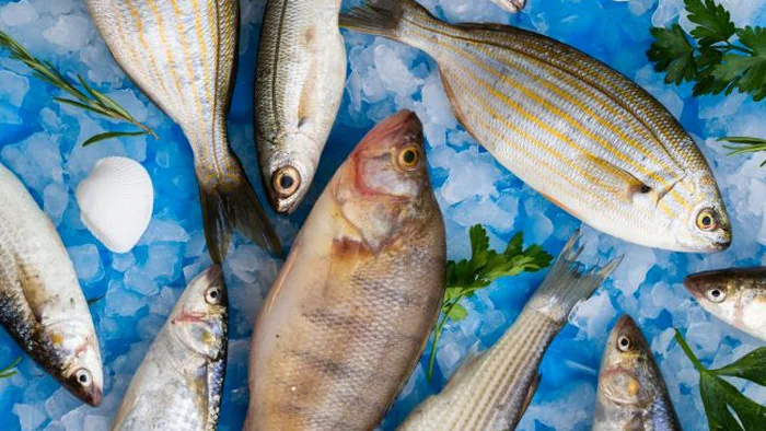 5 главных правил, как выбрать качественную свежую рыбу. Они уберегут здоровье и деньги