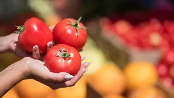 Обычные помидоры: какая польза и вред от «популярного» овоща