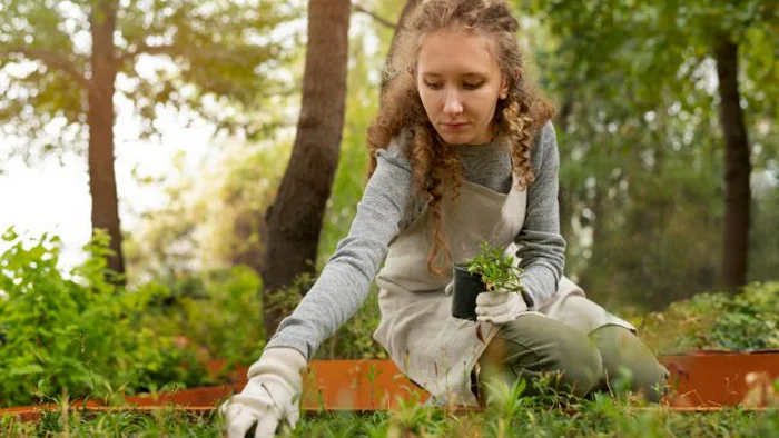 6 ошибок, которые портят качество почвы в вашем саду