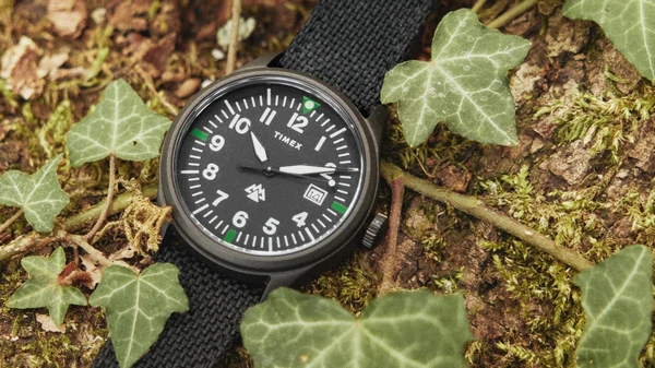 Timex Expedition