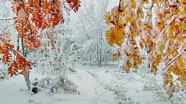 Праздник 29 ноября: что строго запрещено делать сегодня, народные...