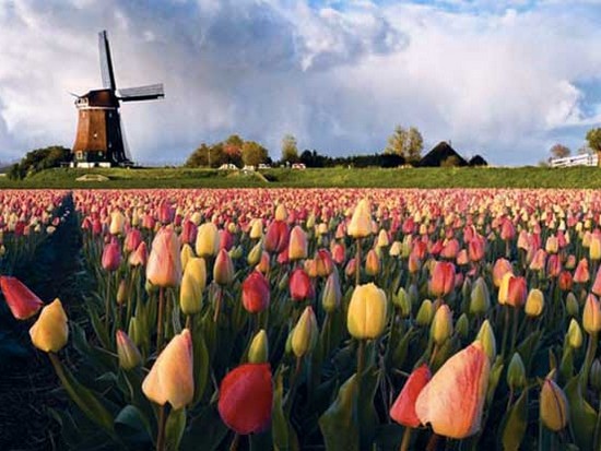 Что вы знаете о Нидерландах?