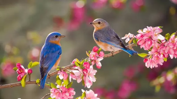 Какой праздник сегодня, 1 марта: что нельзя делать, приметы, у кого День ангела