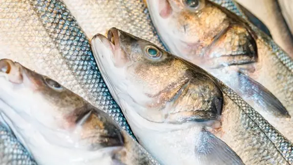 Названа рыба, которую категорически не стоит есть: ее продают повсюду