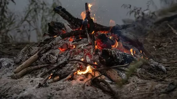 Пепел как удобрение: использование дома, на участке в саду и на огороде