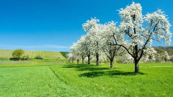 Праздник сегодня, 28 марта: что нельзя делать, приметы и народные традиции