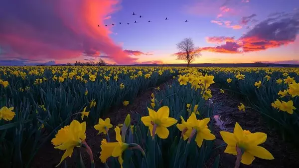 Праздник сегодня, 26 марта: что нельзя делать, народные приметы и традиции