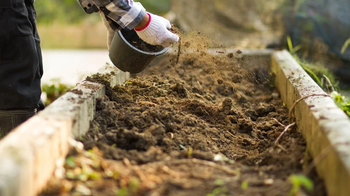 10 советов по компостированию, которые сохранят вашу почву