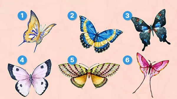Какую бабочку вы выберете: тест на самые яркие черты характера