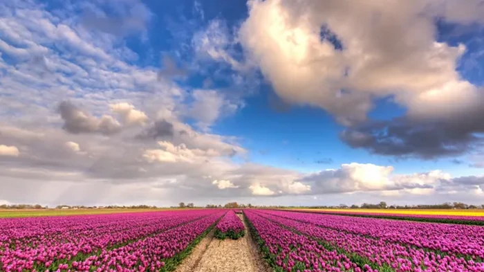 Праздник 24 мая: что сегодня нельзя делать, приметы дня и именины